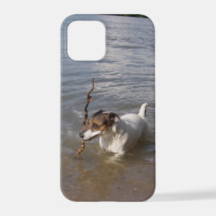 Capo von Oppenheim, Jack Russell Terrier Dog iPhone 12 Pro Hoesje