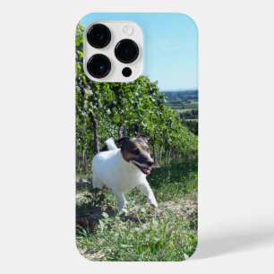 Capo von Oppenheim Jack Russell Terrier, Dog iPhone 14 Pro Max Hoesje