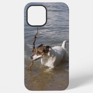 Capo von Oppenheim Jack Russell Terrier, Dog iPhone 12 Pro Max Hoesje