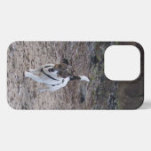 Capo von Oppenheim, Jack Russell Terrier Dog iPhone Hoesje (Achterkant horizontaal)
