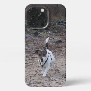 Capo von Oppenheim, Jack Russell Terrier Dog iPhone 13 Pro Hoesje