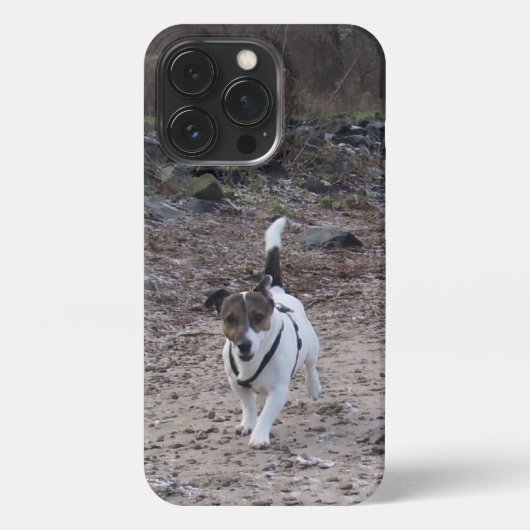 Capo von Oppenheim, Jack Russell Terrier Dog iPhone Hoesje (Achterkant)