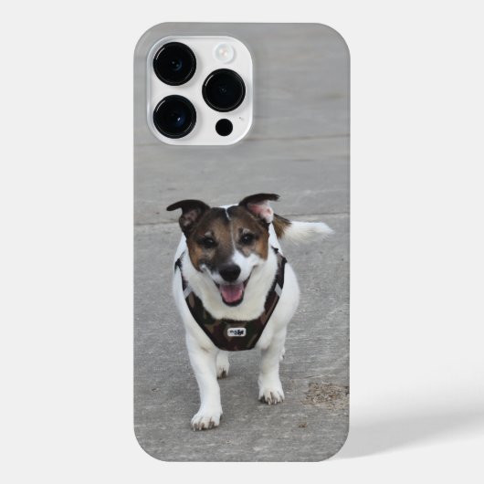 Capo von Oppenheim, Jack Russell Terrier Dog iPhone Hoesje (Achterkant)