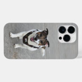 Capo von Oppenheim, Jack Russell Terrier Dog iPhone Hoesje (Achterkant horizontaal)