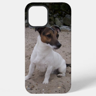 Capo von Oppenheim Jack Russell Terrier, Dog iPhone 12 Pro Max Hoesje
