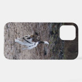 Capo von Oppenheim, Jack Russell Terrier Dog iPhone Hoesje (Achterkant horizontaal)