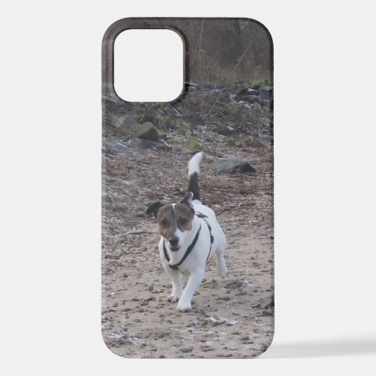Capo von Oppenheim, Jack Russell Terrier Dog iPhone Hoesje (Achterkant)