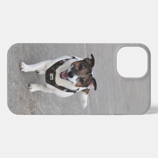 Capo von Oppenheim, Jack Russell Terrier Dog iPhone Hoesje (Achterkant horizontaal)