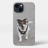 Capo von Oppenheim, Jack Russell Terrier Dog iPhone Hoesje (Achterkant)
