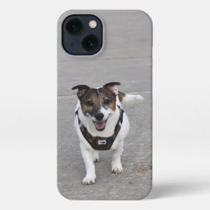 Capo von Oppenheim, Jack Russell Terrier Dog iPhone 13 Hoesje