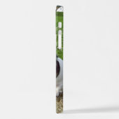 Capo von Oppenheim Jack Russell Terrier, Dog iPhone Hoesje (Linkerkant)