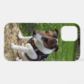 Capo von Oppenheim Jack Russell Terrier, Dog iPhone Hoesje (Achterkant horizontaal)