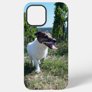 Capo von Oppenheim Jack Russell Terrier, Dog iPhone 12 Pro Max Hoesje