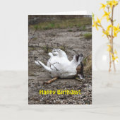 Capo von Oppenheim Jack Russell Terrier, Dog Kaart (Gele Bloem)