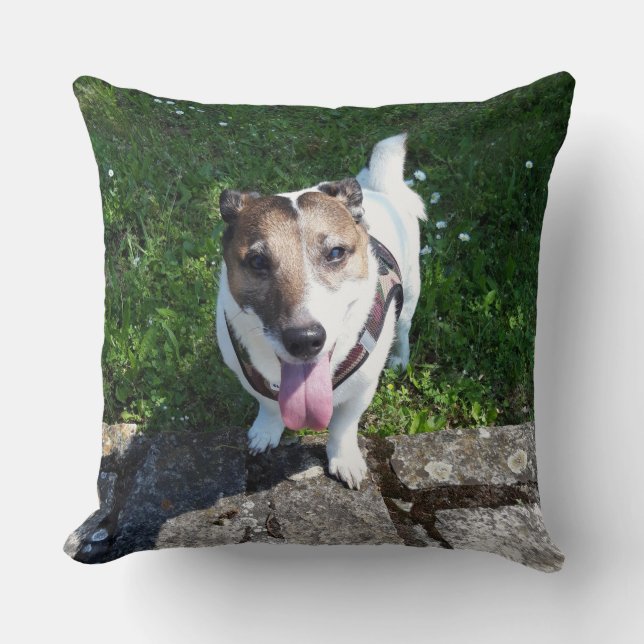 Capo von Oppenheim, Jack Russell Terrier Dog Kussen (Voorkant)