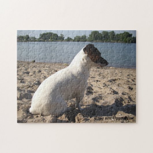 Capo von Oppenheim, Jack Russell Terrier Dog Legpuzzel (Horizontaal)