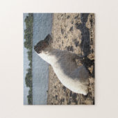 Capo von Oppenheim, Jack Russell Terrier Dog Legpuzzel (Verticaal)