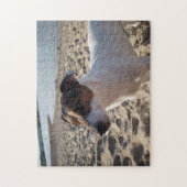 Capo von Oppenheim, Jack Russell Terrier Dog Legpuzzel (Verticaal)