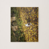 Capo von Oppenheim, Jack Russell Terrier Dog Legpuzzel (Verticaal)