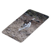 Capo von Oppenheim, Jack Russell Terrier Dog Magne Magneet (Linkerzijde)