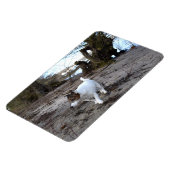 Capo von Oppenheim, Jack Russell Terrier Dog Magne Magneet (Linkerzijde)