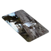 Capo von Oppenheim, Jack Russell Terrier Dog Magne Magneet (Rechterzijde)