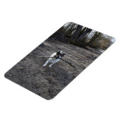 Capo von Oppenheim, Jack Russell Terrier Dog Magneet (Linkerzijde)