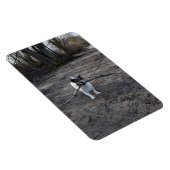 Capo von Oppenheim, Jack Russell Terrier Dog Magneet (Rechterzijde)