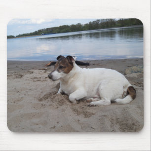 Capo von Oppenheim Jack Russell Terrier, Dog Muismat
