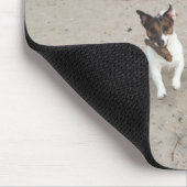 Capo von Oppenheim Jack Russell Terrier, Dog Muismat (Hoek)