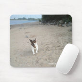 Capo von Oppenheim Jack Russell Terrier, Dog Muismat (Met muis)