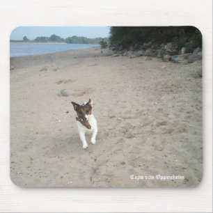 Capo von Oppenheim Jack Russell Terrier, Dog Muismat