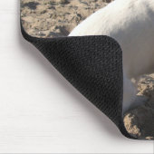 Capo von Oppenheim Jack Russell Terrier, Dog Muismat (Hoek)