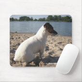 Capo von Oppenheim Jack Russell Terrier, Dog Muismat (Met muis)