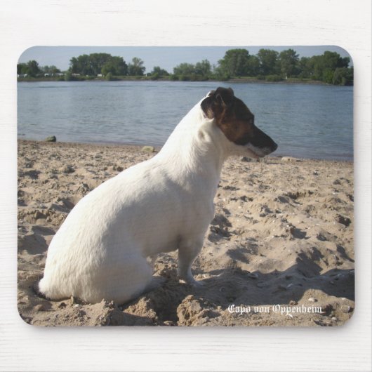 Capo von Oppenheim Jack Russell Terrier, Dog Muismat (Voorkant)