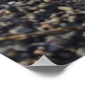 Capo von Oppenheim, Jack Russell Terrier dog Poster (Hoek)