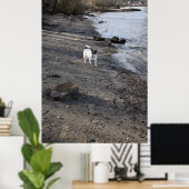 Capo von Oppenheim, Jack Russell Terrier dog Poster (Thuiskantoor)