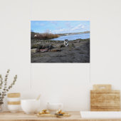 Capo von Oppenheim, Jack Russell Terrier Dog Poster (Keuken)