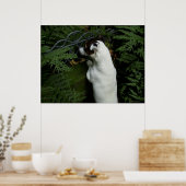 Capo von Oppenheim, Jack Russell Terrier dog Poster (Keuken)