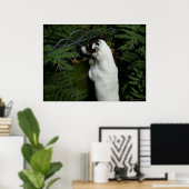 Capo von Oppenheim, Jack Russell Terrier dog Poster (Thuiskantoor)