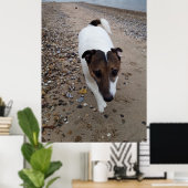 Capo von Oppenheim, Jack Russell Terrier dog Poster (Thuiskantoor)