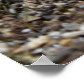 Capo von Oppenheim, Jack Russell Terrier dog Poster (Hoek)