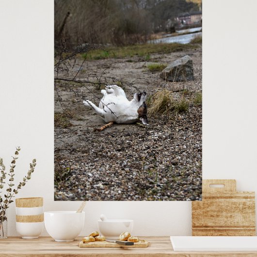 Capo von Oppenheim, Jack Russell Terrier dog Poster (Keuken)