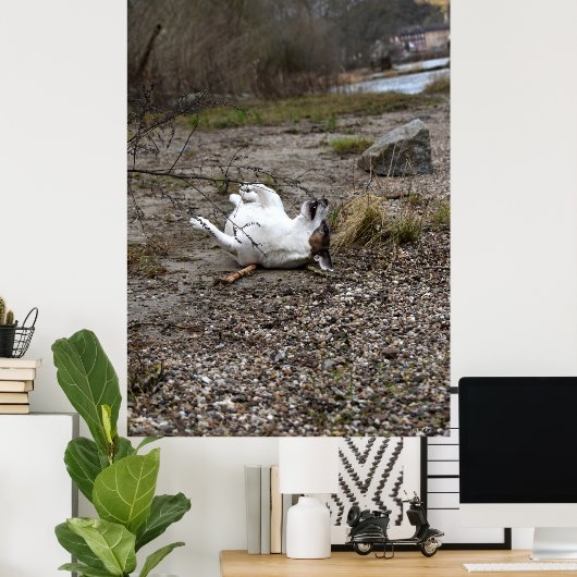 Capo von Oppenheim, Jack Russell Terrier dog Poster (Thuiskantoor)