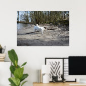 Capo von Oppenheim, Jack Russell Terrier Dog Poster (Thuiskantoor)
