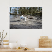 Capo von Oppenheim, Jack Russell Terrier Dog Poster (Keuken)
