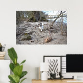 Capo von Oppenheim, Jack Russell Terrier Dog Poster (Thuiskantoor)