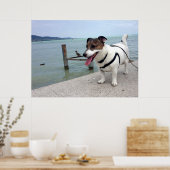 Capo von Oppenheim, Jack Russell Terrier Dog Poster (Keuken)