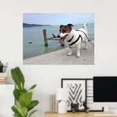 Capo von Oppenheim, Jack Russell Terrier Dog Poster (Thuiskantoor)