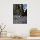 Capo von Oppenheim, Jack Russell Terrier Dog Poster (Keuken)